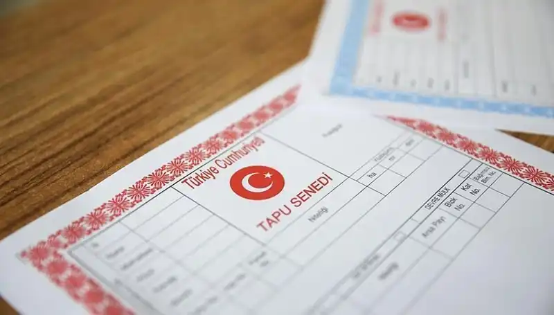 Türkiye'de 100 Milyonluk Hisseli Tapu Tuzağı Deşifre Edildi