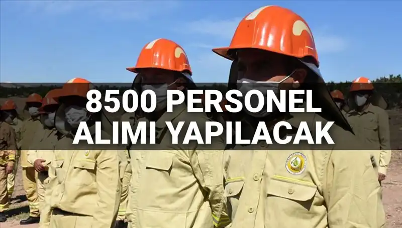 Tarım ve Orman Bakanlığı 2025'te 8500 Yeni Personel Alacak: Şartlar Neler?