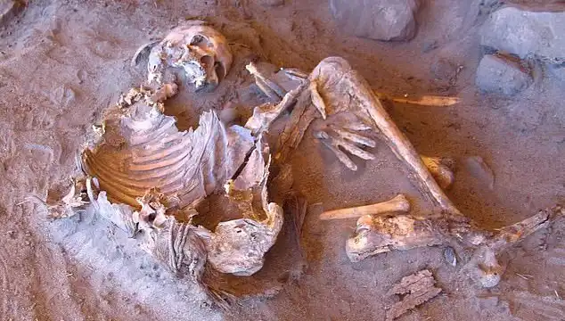 Yeni Mumyalar Dönemi: İnsanlığın Soy Ağacı Yeniden Şekilleniyor!