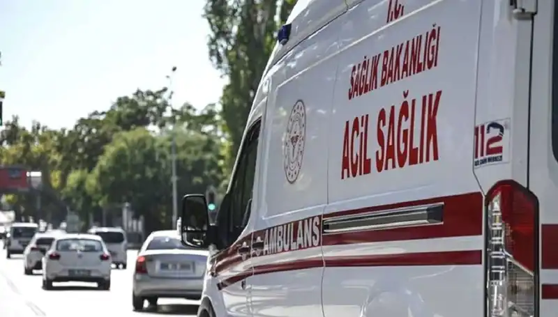 Apartman Tahliye Edildi: Mangalda Pul Biber Yakan Vatandaş Böceği Paniğe Neden Oldu