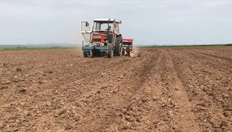 Kışın Ardından Gelen Kuralık: Mart Ayı Tarih Yazdı