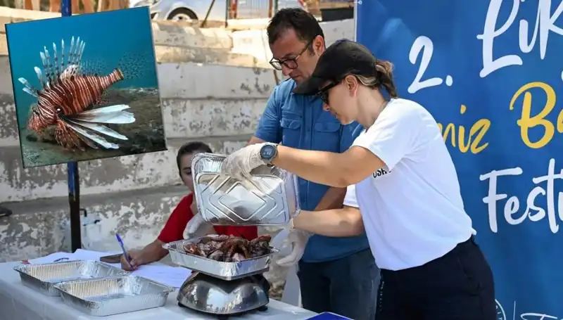 Antalya, İstilacı Aslan Balığı Avlama Yarışması ile Dikkatleri Üzerine Çekiyor