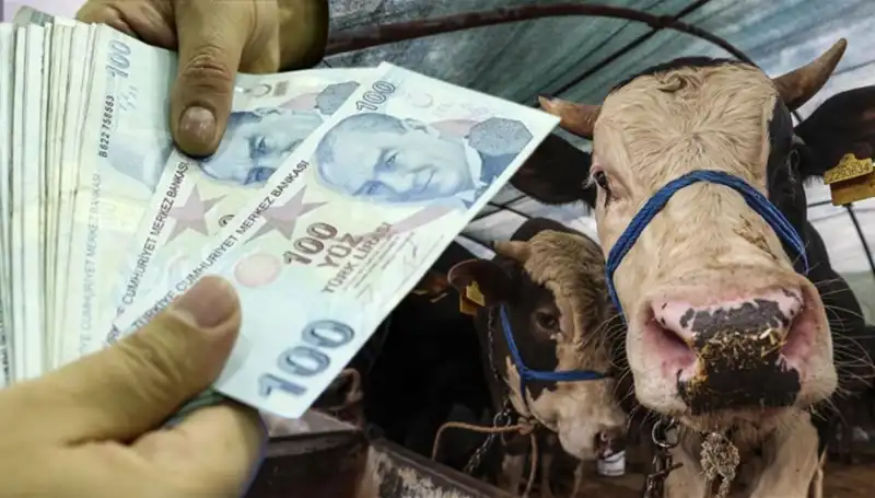 Bayram Öncesi Maaşlar Ne Zaman Yatacak? Emekliler Beklentide