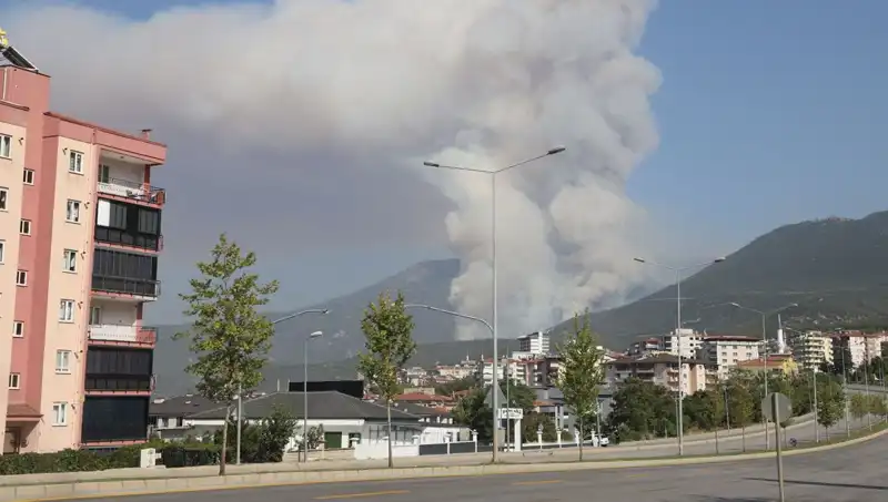 Denizli'de Orman Yangını: Yangının Ardındaki Gizemli Şüpheli Kim?