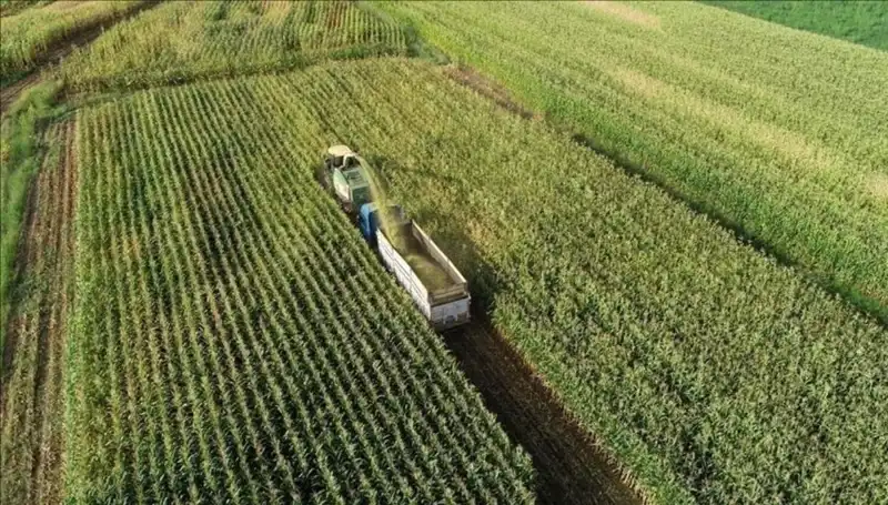 2025 Mart Ayında Mazot ve Gübre Desteği Ödemeleri Hakkında Bilinmesi Gerekenler