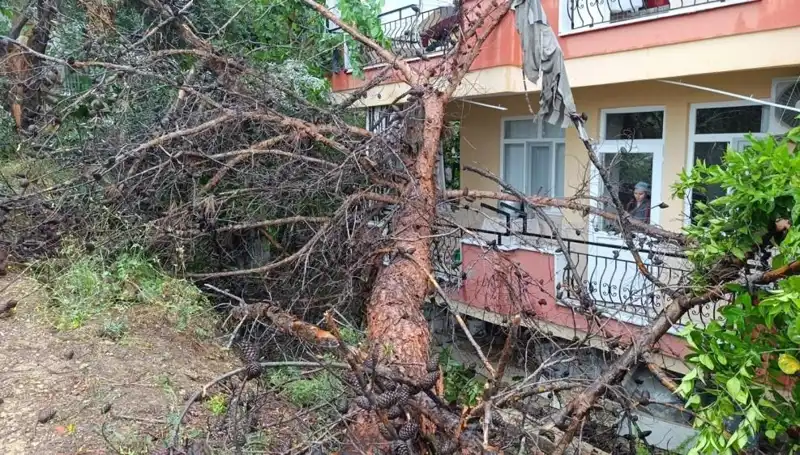 Yağmur Sonrası Korkunç Çökmenin Ardındaki Sebepler ve Sonuçlar