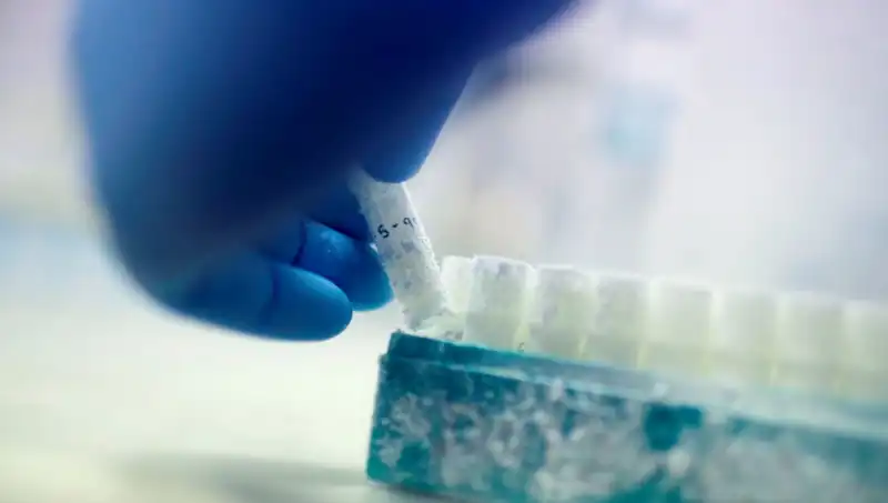 Genetik Skandal: 85 Sperm Donörü Binlerce Çocuğa Baba Olmuş