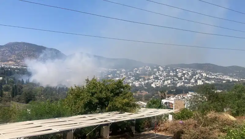 Muğla Orman Yangınları Kontrol Altına Alındı: Doğa Yeniden Canlanıyor