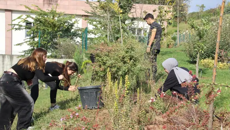 Düzce'nin Yükselen Yıldızı: Hayaller Gerçek Oluyor