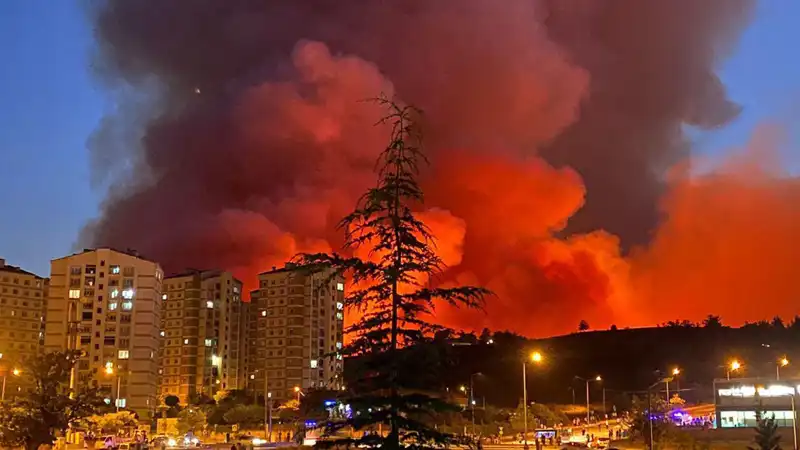 Bursa'daki Yangınlar Şehri Sararken, Vatandaşlar Endişe İçinde
