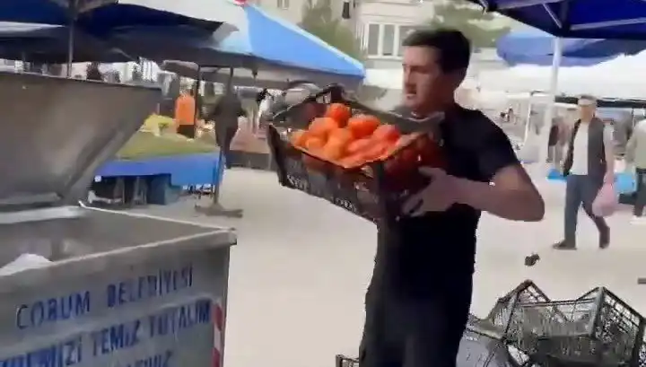 Domatesleri Çöpe Atan Pazarcıya Uygulanacak Rekor Para Cezası Şaşırttı