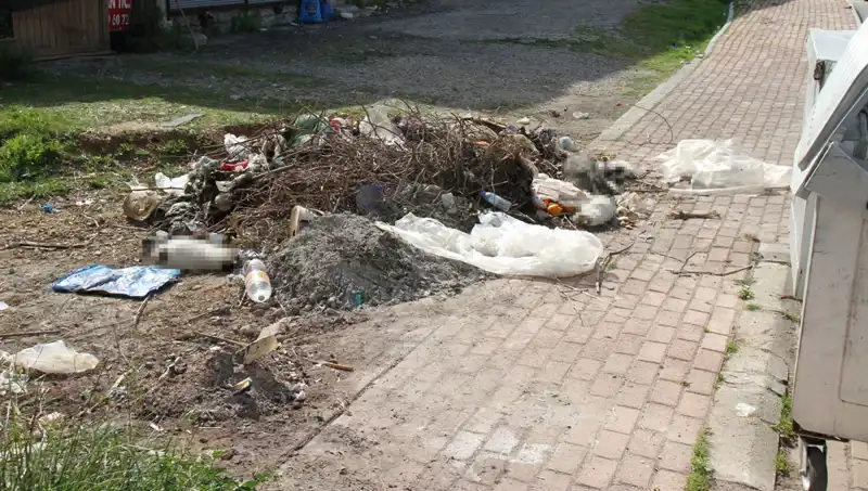 Antalya’da Korkunç Buluntu: 10 Kedi Ölü Bulundu, İnceleme Süreci Başlatıldı